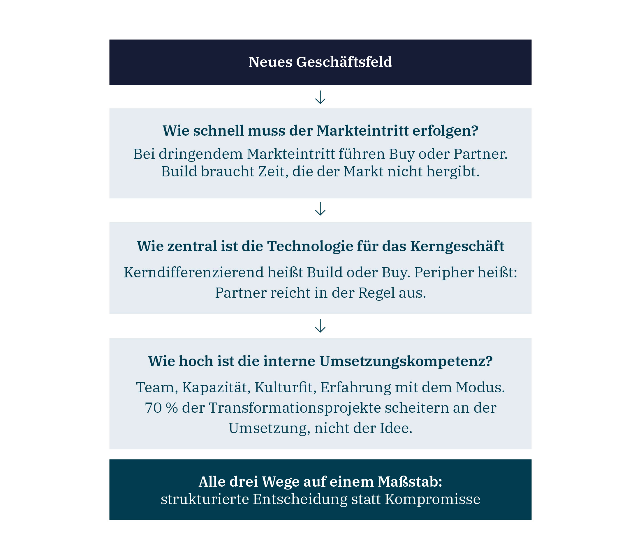 Build Buy oder Partner 2 hy consulting