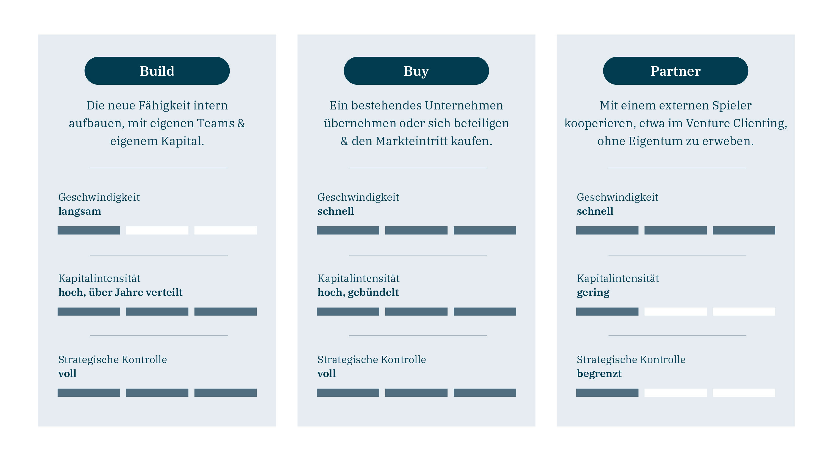 Build Buy oder Partner 1 hy consulting